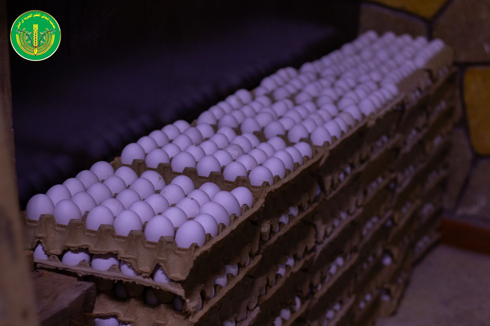 ✨💚لانتهاء من توزيع المساعدات المالية والعينية لشهر 12 للمدرجين والأيتام في الجمعية